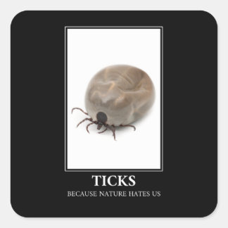Ticks Because Nature Hates Us – Parasite Fun Square Sticker