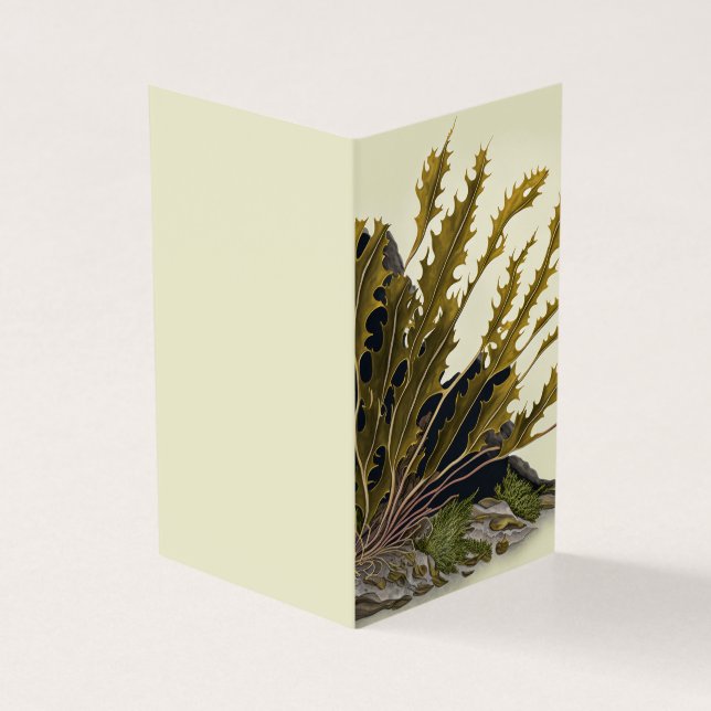 Tidal Fronds (Outside)