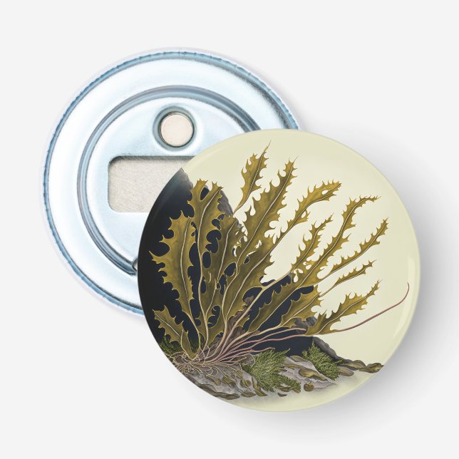 Tidal Fronds Bottle Opener (Front)