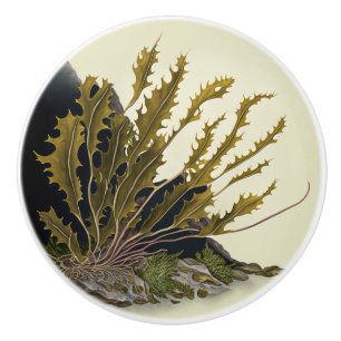 Tidal Fronds Ceramic Knob