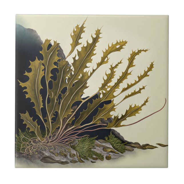 Tidal Fronds Ceramic Tile (Front)