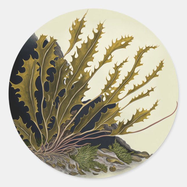 Tidal Fronds Classic Round Sticker (Front)