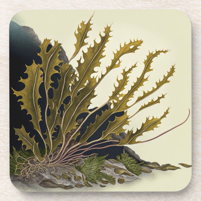 Tidal Fronds Coaster (Front)