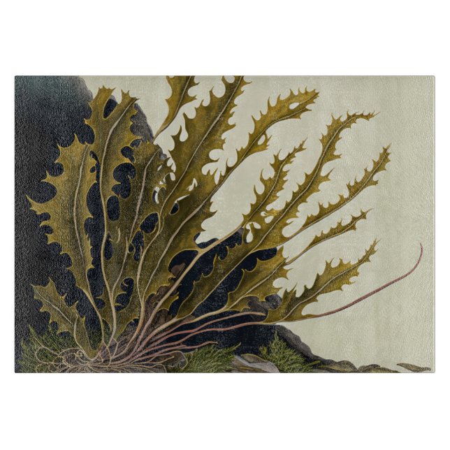Tidal Fronds Cutting Board (Front)