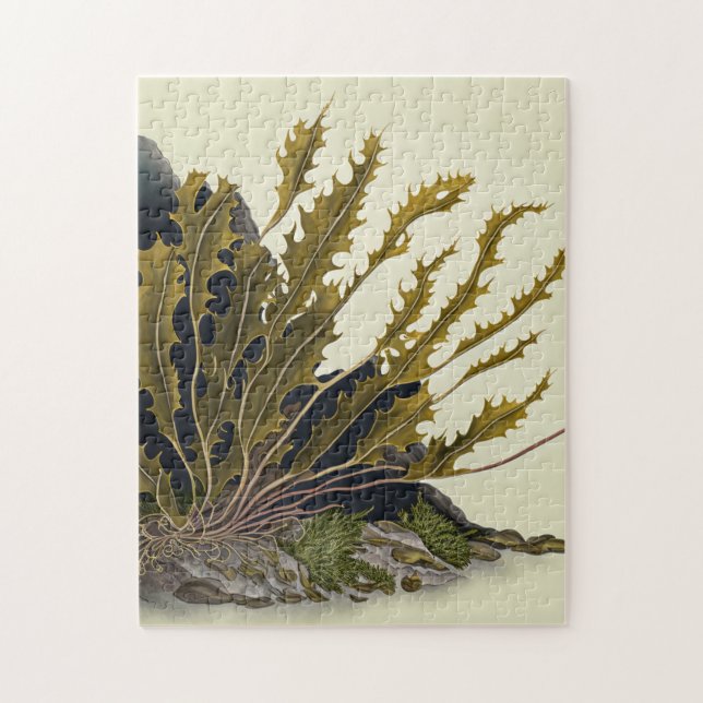 Tidal Fronds Jigsaw Puzzle (Vertical)