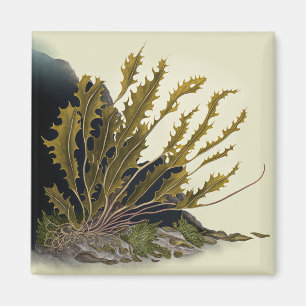 Tidal Fronds Magnet