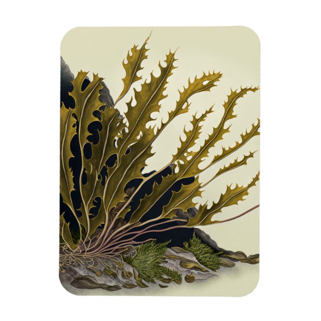 Tidal Fronds Magnet (Vertical)