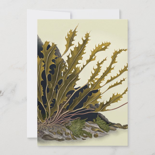 Tidal Fronds Save The Date (Front)