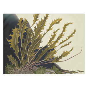 Tidal Fronds Tablecloth