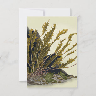 Tidal Fronds Thank You Card