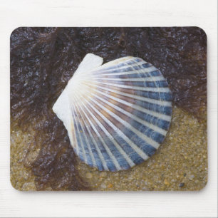 Tidal Pool Mouse Pad