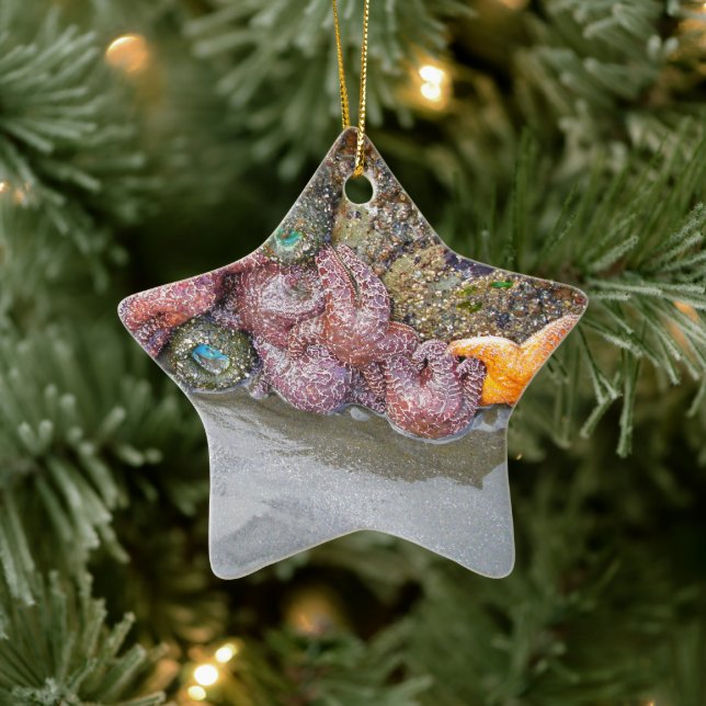 Tidal Pool, Ruby Beach, Olympic National Park Ceramic Tree Decoration (Tree)