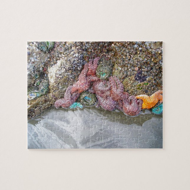 Tidal Pool, Ruby Beach, Olympic National Park Jigsaw Puzzle (Horizontal)
