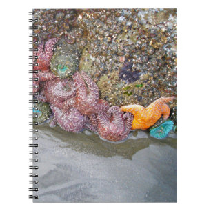 Tidal Pool, Ruby Beach, Olympic National Park Notebook