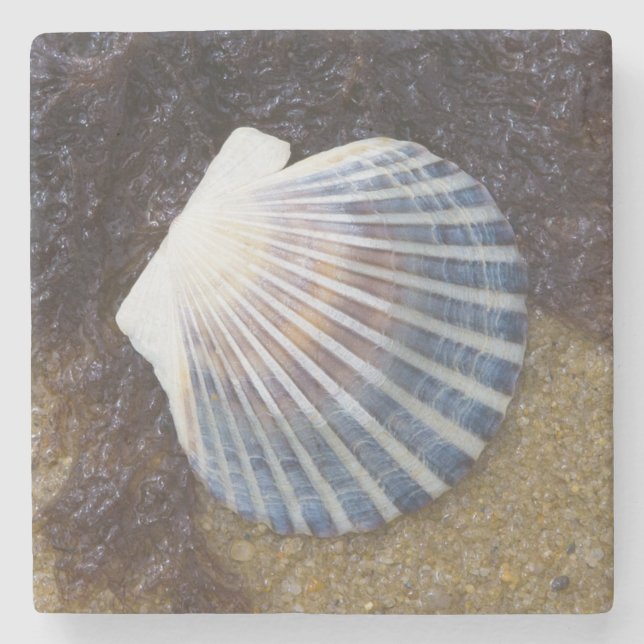 Tidal Pool Stone Coaster (Front)