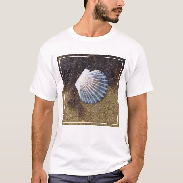 Tidal Pool T-Shirt (Front)