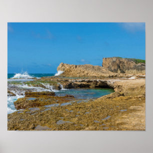 Tidal Pools and Rock Ledges of Punta Las Tunas Poster