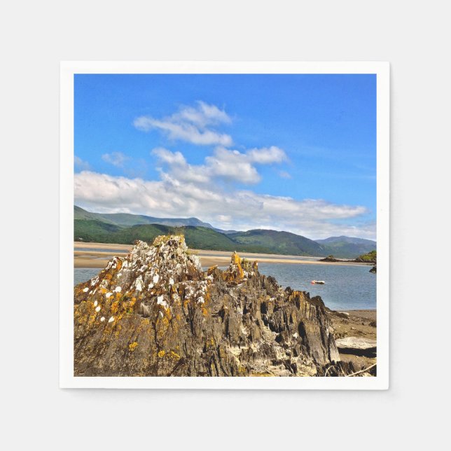 TIDAL RIVER NAPKIN (Front)