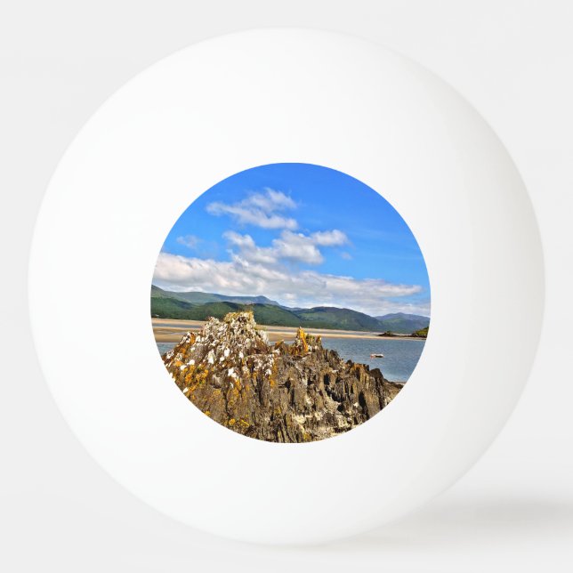 TIDAL RIVER PING PONG BALL (Front)