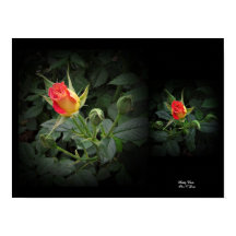 Tiddly Winks Miniature Rose Wall Art by Stan VG