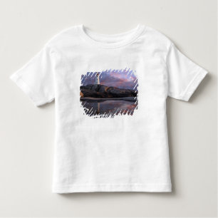 Tide Pool by Lighthouse Toddler T-Shirt