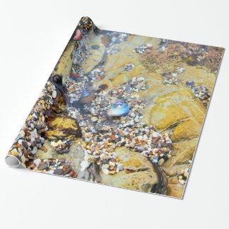 Tide Pool Wrapping Paper