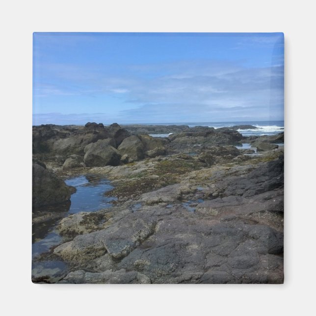 Tide Pools at Bob Creek, OR Magnet (Front)