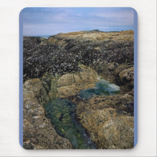 Tide Pools at Bob Creek, OR Mouse Pad