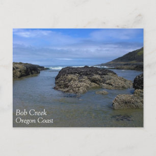 Tide Pools at Bob Creek, OR Postcard