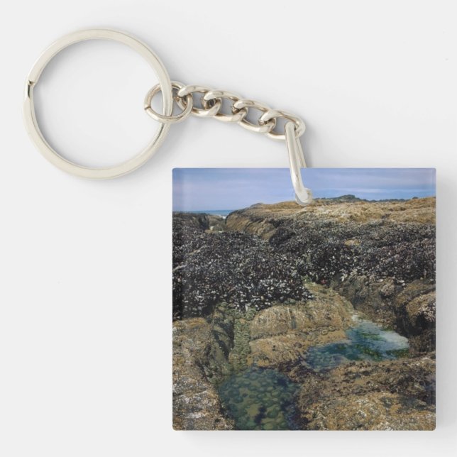 Tide Pools at Bob Creek, Oregon Key Ring (Front)