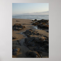 tide pools empty