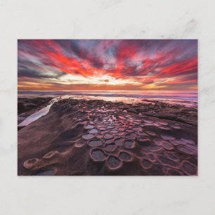 Tide Pools in La Jolla, CA Postcard