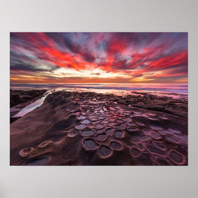 Tide Pools in La Jolla, CA Poster (Front)