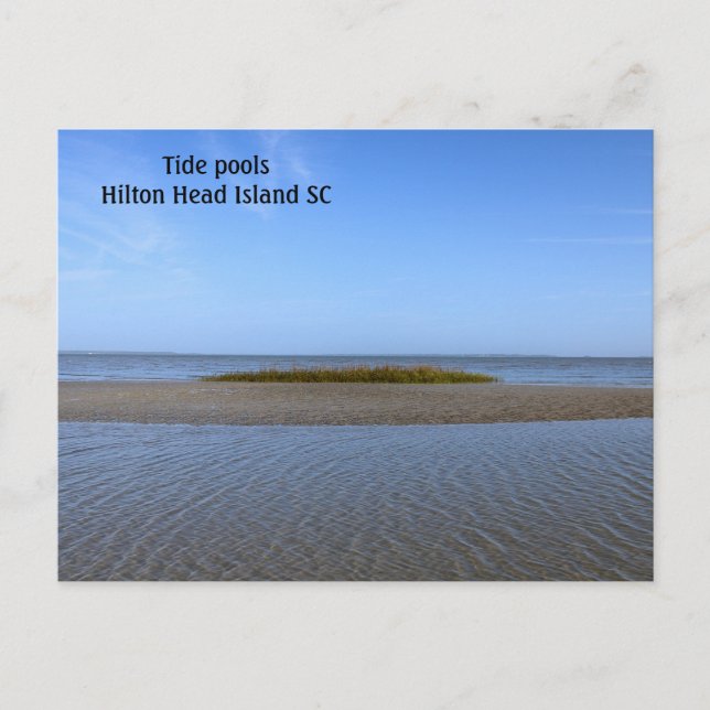 Tide Pools South Carolina Postcard (Front)