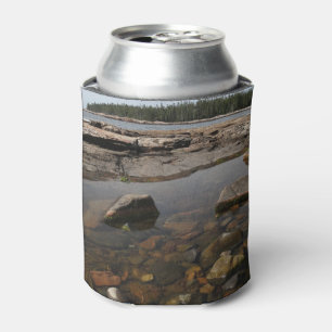 Tidepool at Wonderland in Acadia National Park Can Cooler