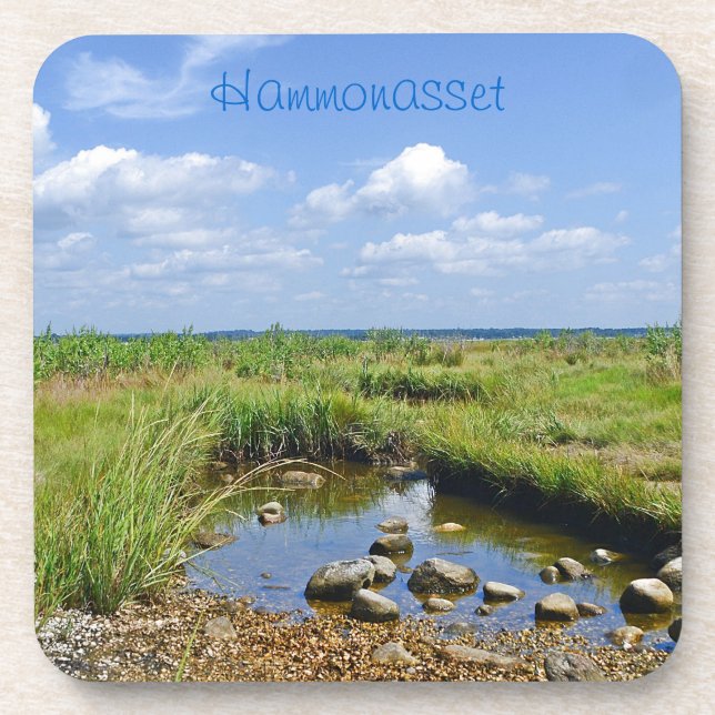 Tidepool Coaster (Front)