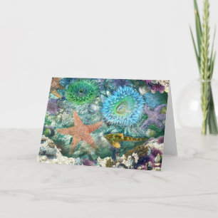 Tidepool Reflections Greeting Card