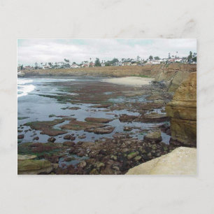 Tidepools Ocean Beach Cliffs Postcard