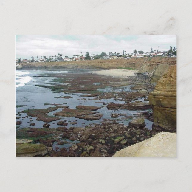 Tidepools Ocean Beach Cliffs Postcard (Front)