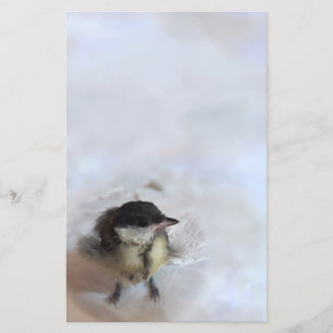 Tidi my Bird the Parus Major