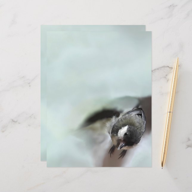 Tidi my Bird the Parus Major (Front/Back In Situ)