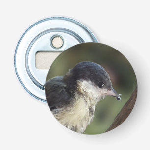 Tidi my Bird the Parus Major Bottle Opener