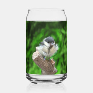 Tidi my Bird the Parus Major Can Glass