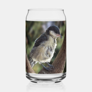 Tidi my Bird the Parus Major Can Glass