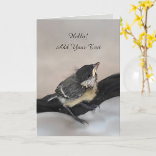 Tidi my Bird the Parus Major Card