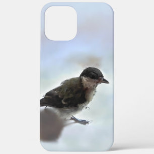 Tidi my Bird the Parus Major iPhone 12 Pro Max Case