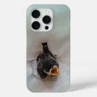 Tidi my Bird the Parus Major