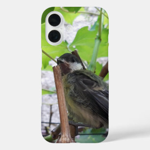 Tidi my Bird the Parus Major iPhone 16 Case
