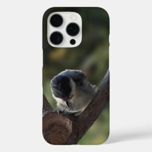 Tidi my Bird the Parus Major iPhone 16 Pro Case