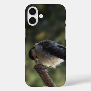 Tidi my Bird the Parus Major iPhone 16 Plus Case